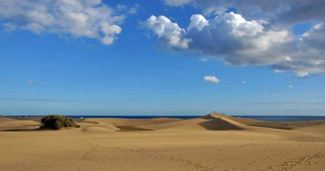 Bungalow Dunaflor Wifi Maspalomas  Exteriör bild